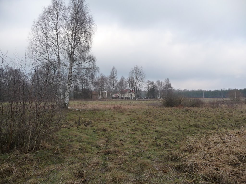 Zakręt leśnej drogi - północ/north