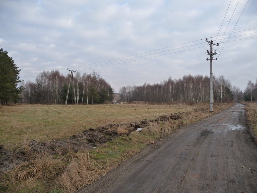 ul. Bielówek - wschód/east