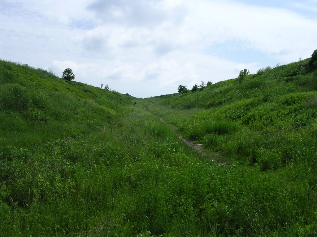 "Zwałka"