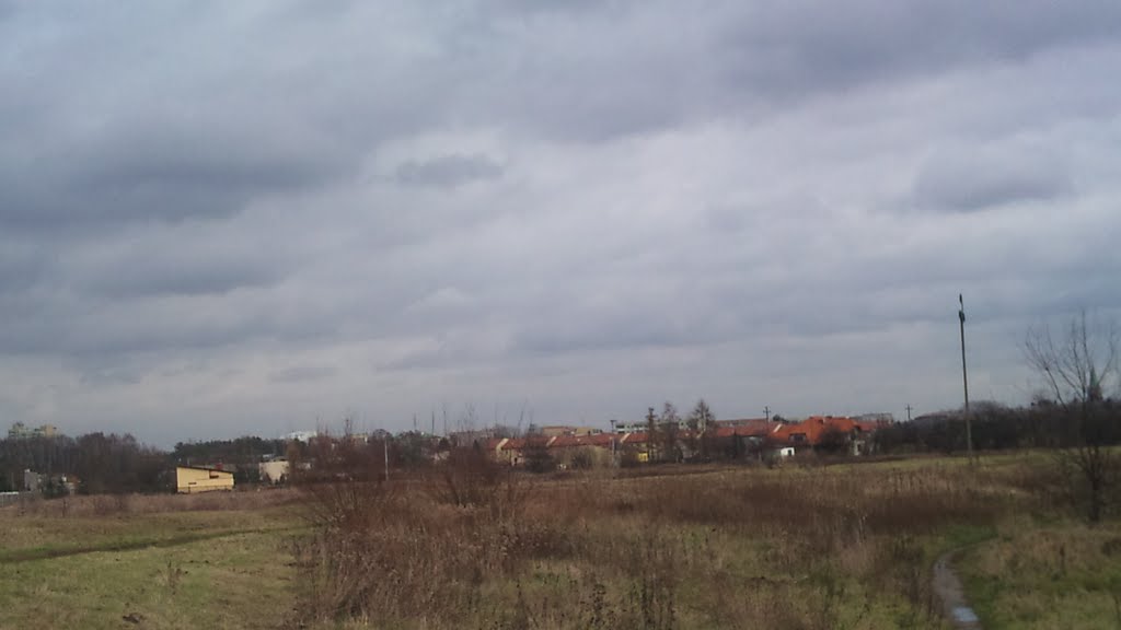 Marki widok od strony Rzeki Długiej