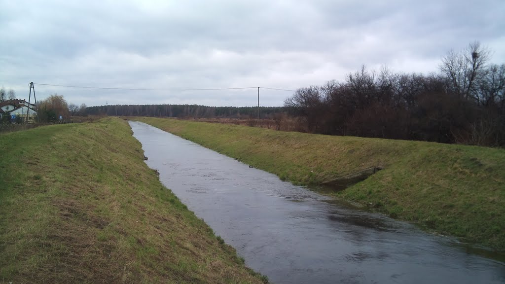 Długa na wys. 11-Listopada w stronę Białołęki