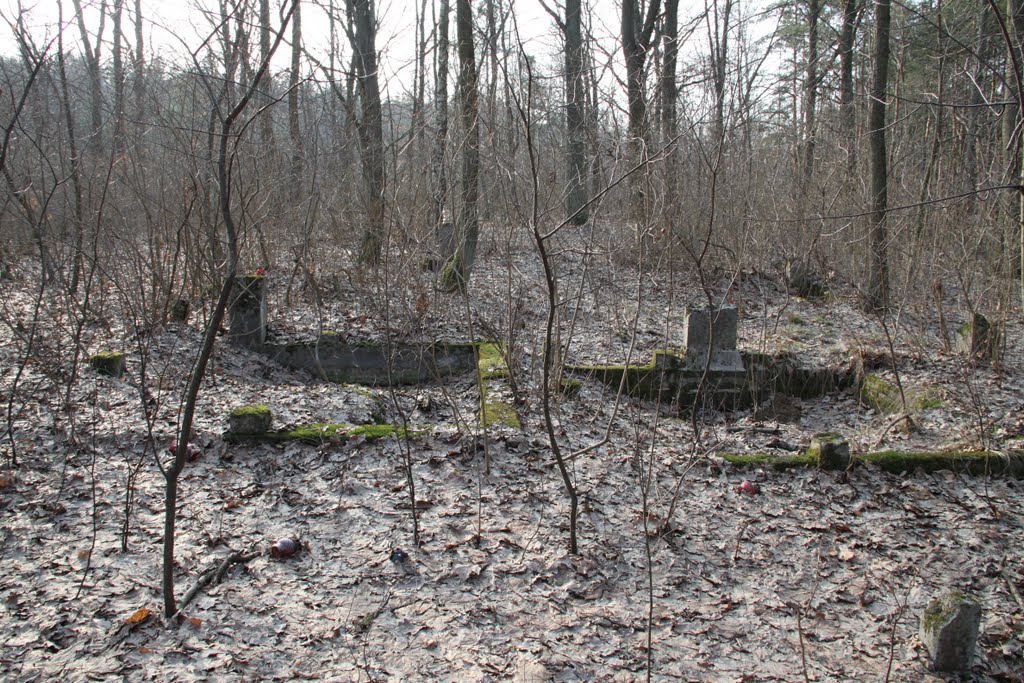 Cmentarz ewangelicko-augsburski /  Evangelical-Augsburg Cemetery - Marki