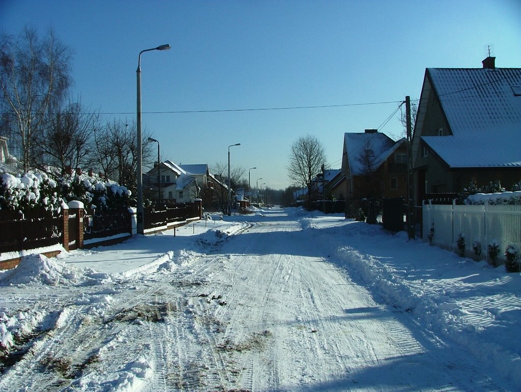 Rydza_Śmigłego zimą :-)
