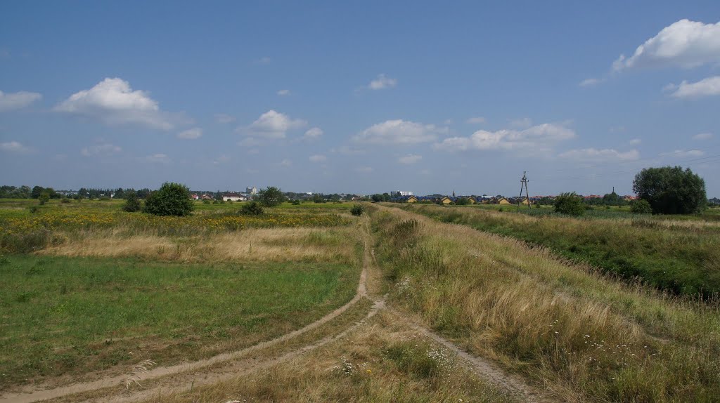 Pole, łąka... [2013.07.26]
