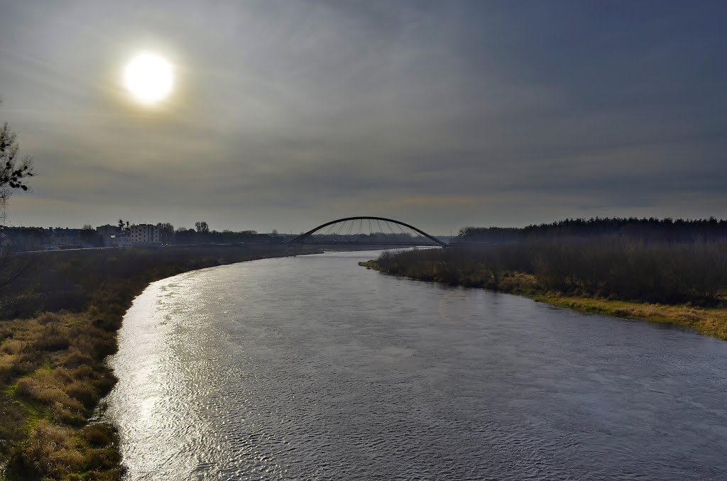 Widok na Narew i most Madalinskiego