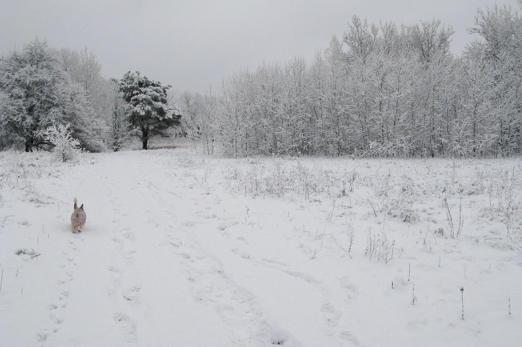 Ostrołęka, 03-2009