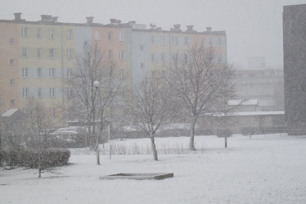 Ostrołęka, 03-2009