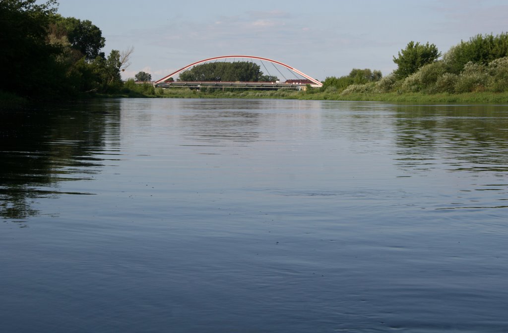 Narew w Ostrołęce