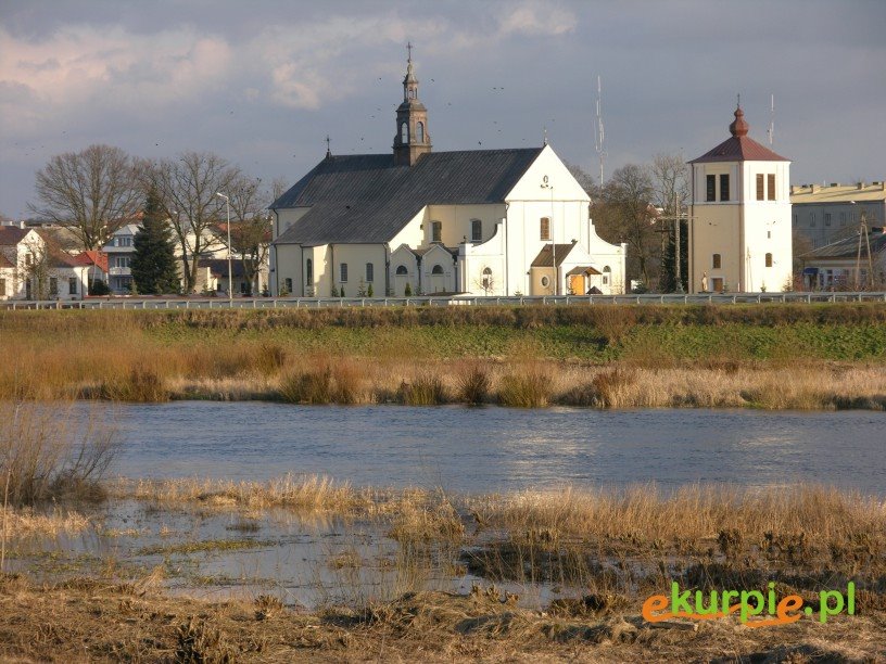 Kościół Farny w Ostrołęce