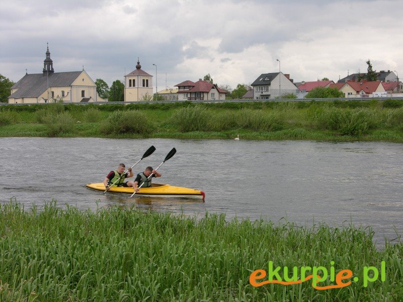 Spływ kajakowy po Narwi