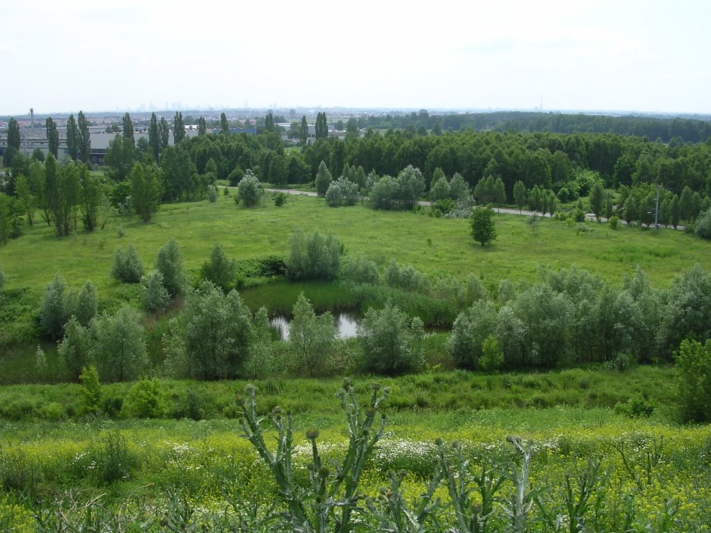 Panorama