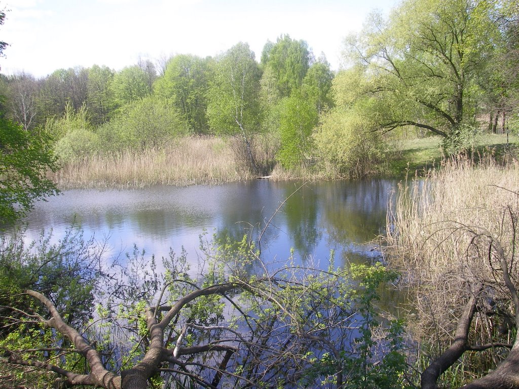 Mexico Lake