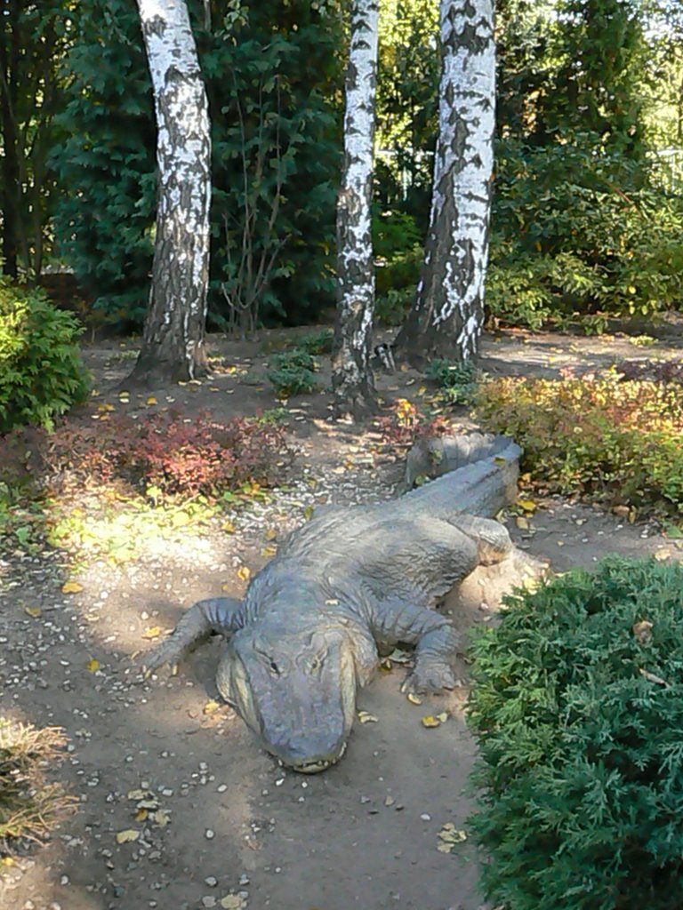 Bardzo groźny Krokodyl