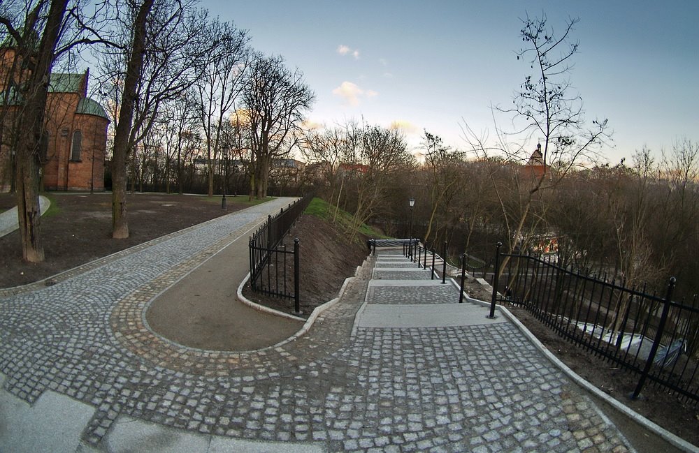 Park przy Katedrze
