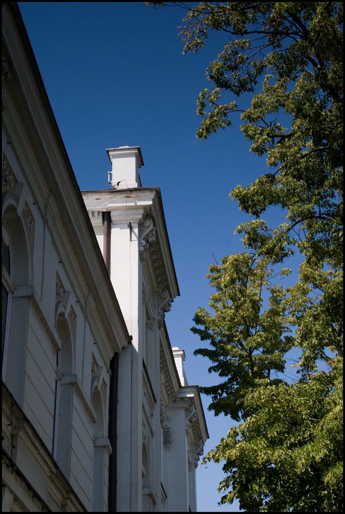 Płock-gb-1