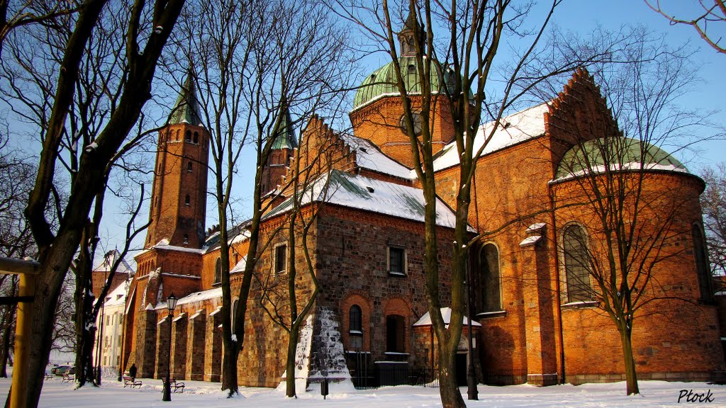 Płock - Katedra