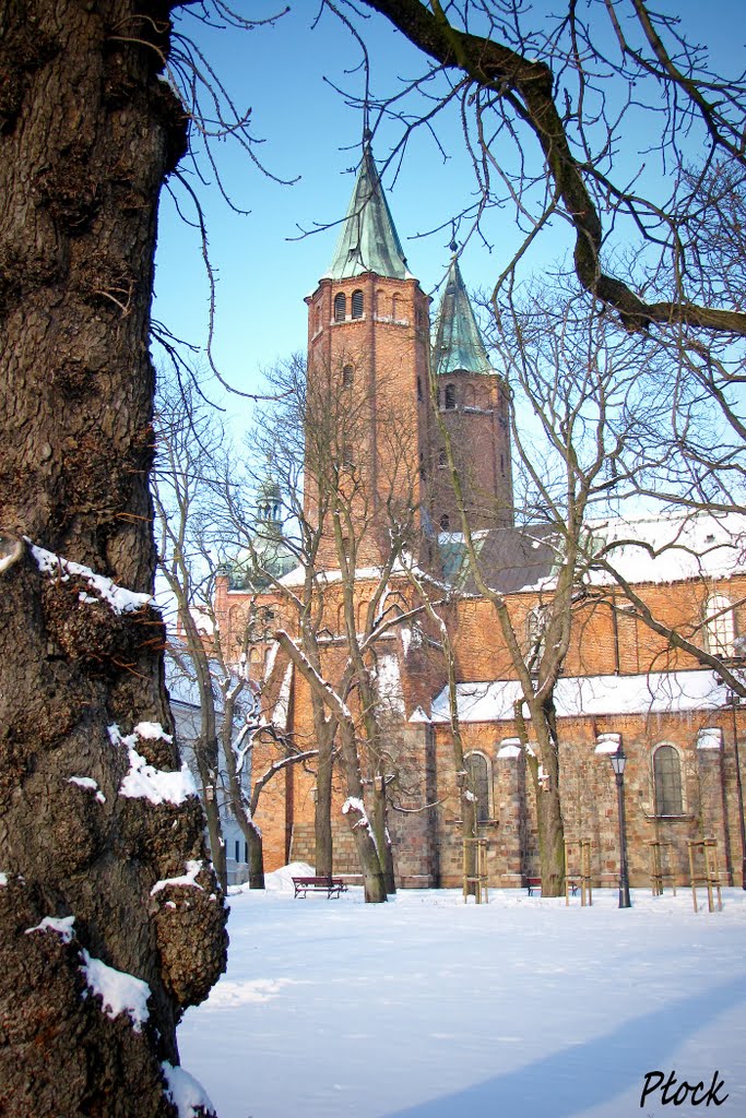 Płock - Katedra