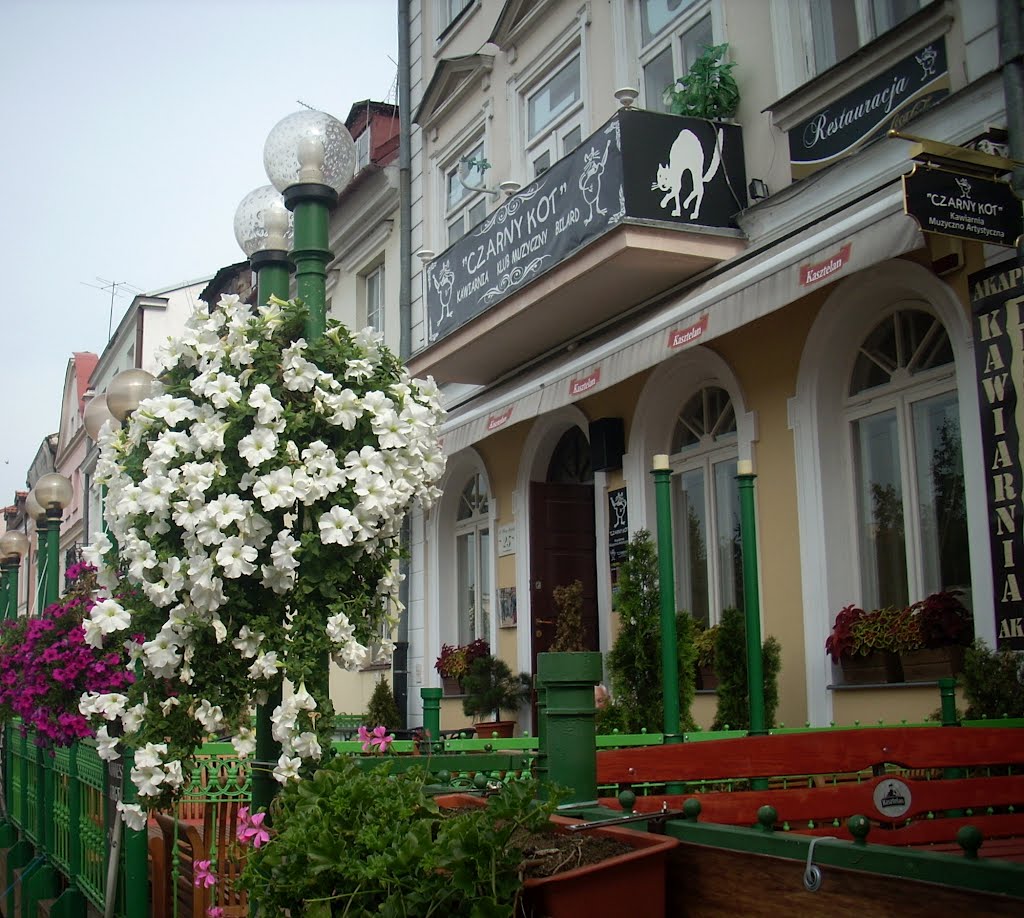 Płock