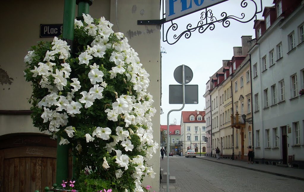 Płock