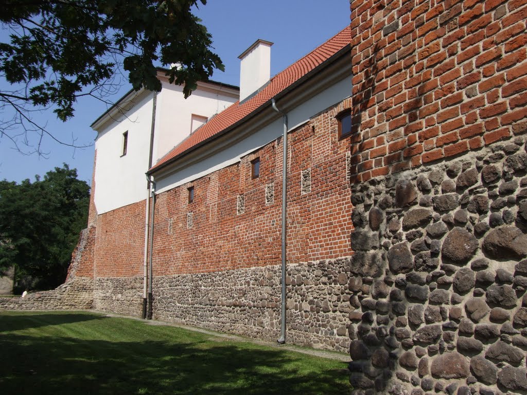 Blisko Zamku Królewskiego w Radomiu (1364)