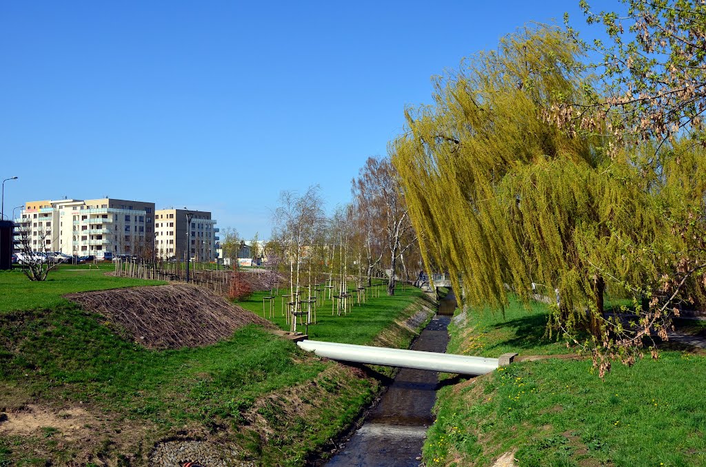 Potok Północny w Radomiu