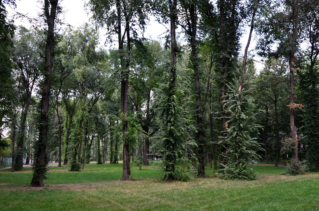 Park Leśniczówka w Radomiu