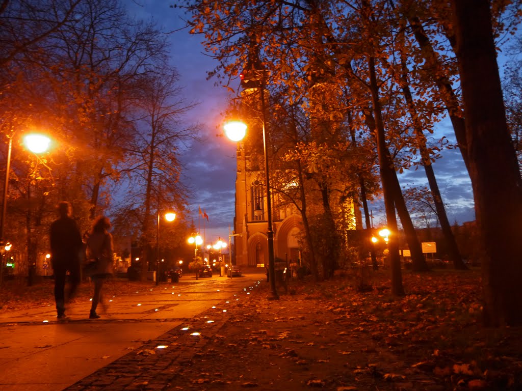 RADOM - Park Kościuszki - widok na Katedrę Opieki NMP