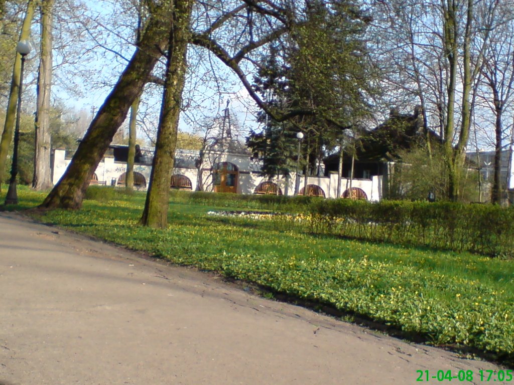 park (fot.tel)