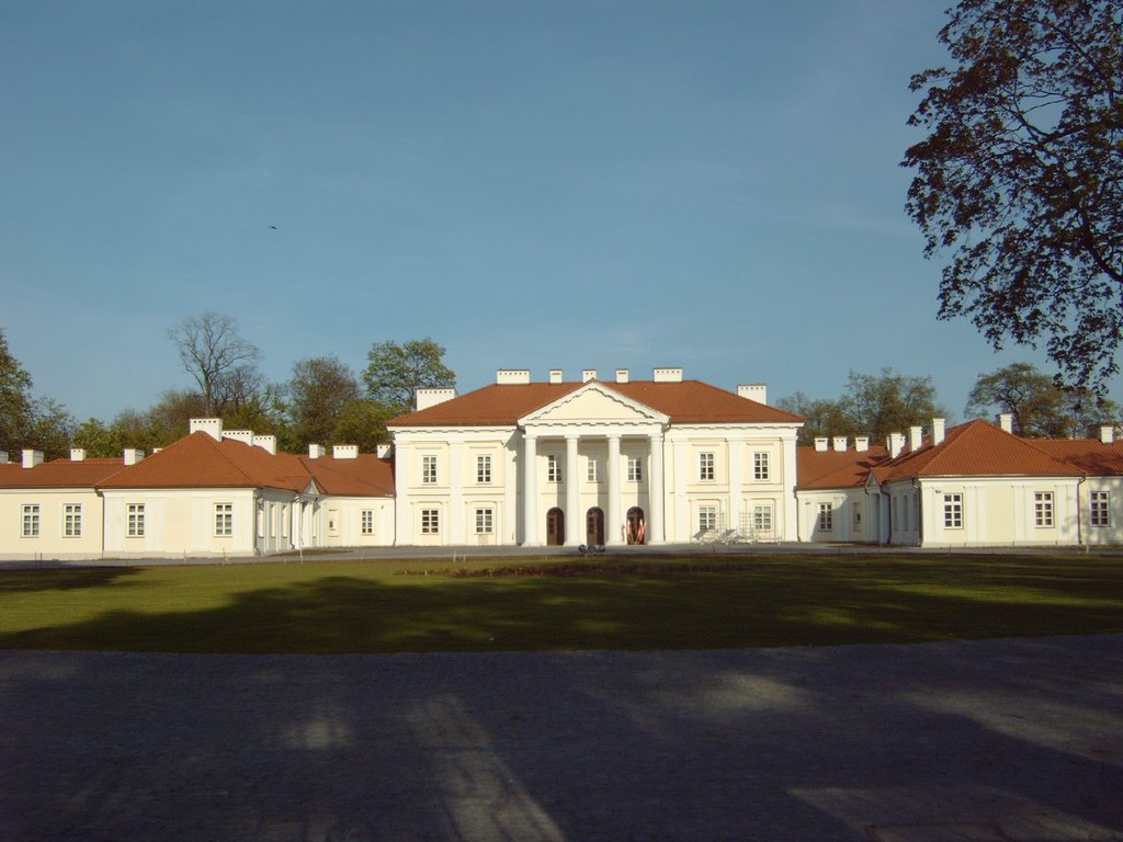 Pałac Ogińskich, (Ogińskis Palace)