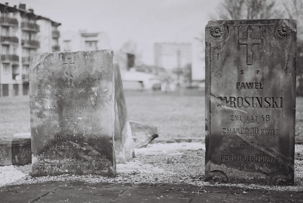 Lapidarium - stary cmentarz / Old cemetary