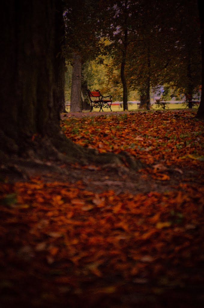 Polish autumn