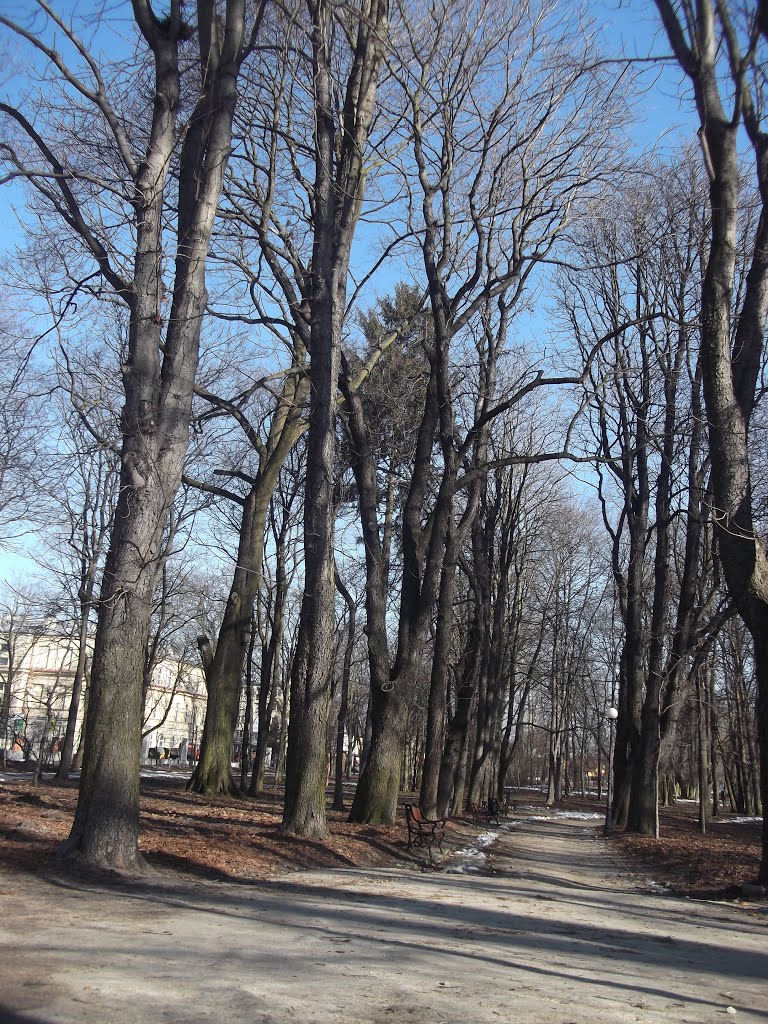 W parku------ Aleksandria w Siedlcach -----