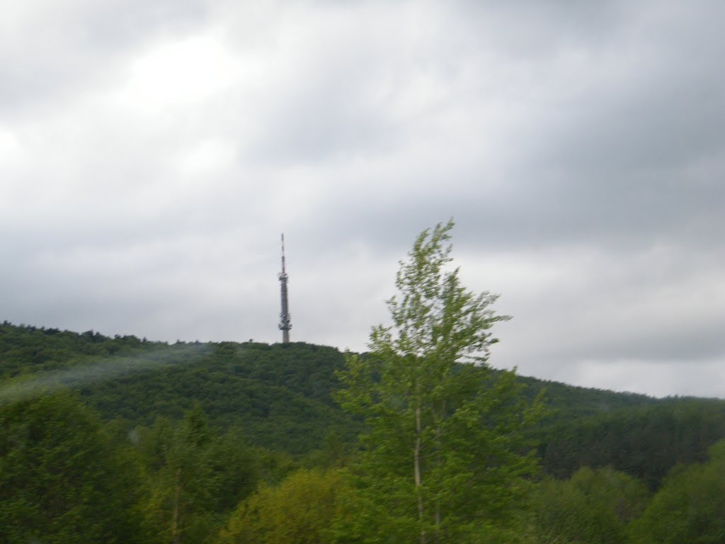 KROSNO 2010