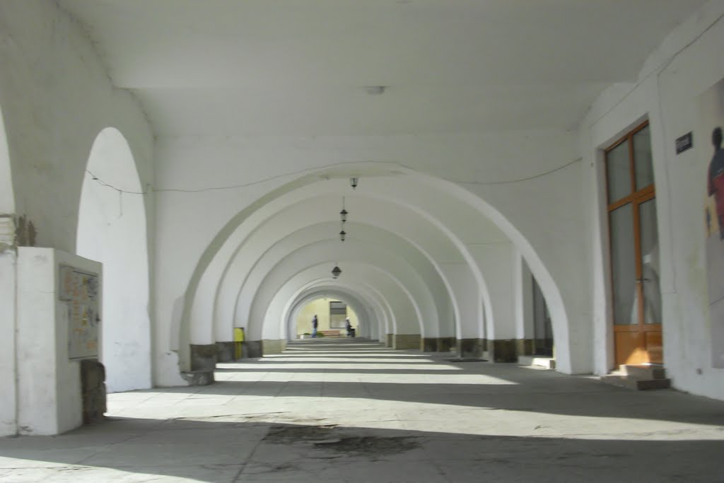 krosno