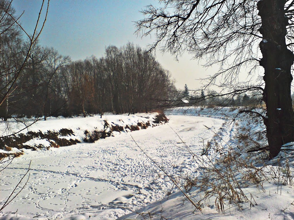 Wisłok river in winter