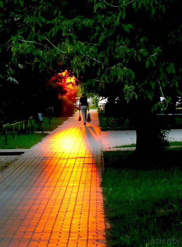 słoneczny szlak