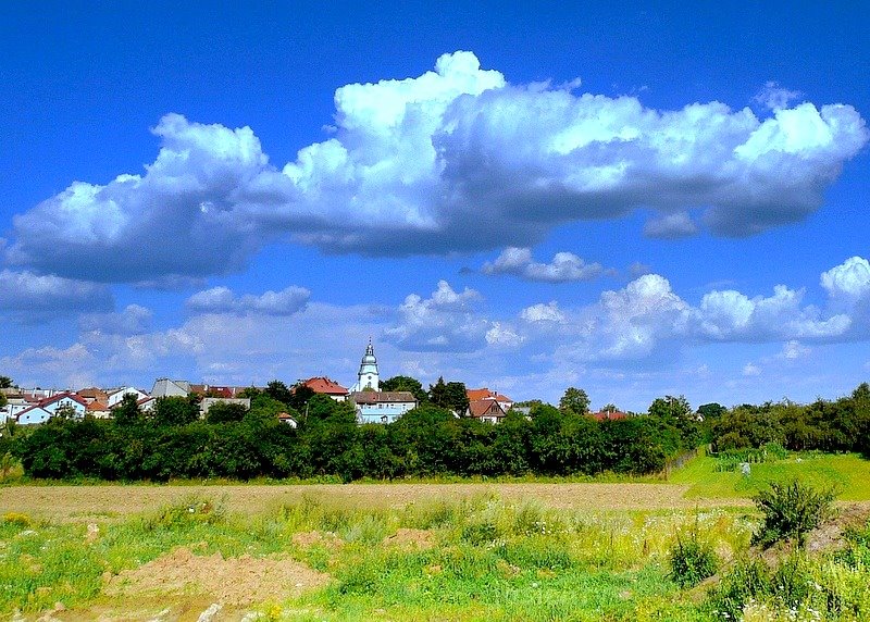stary Mielec od strony Wisłoki
