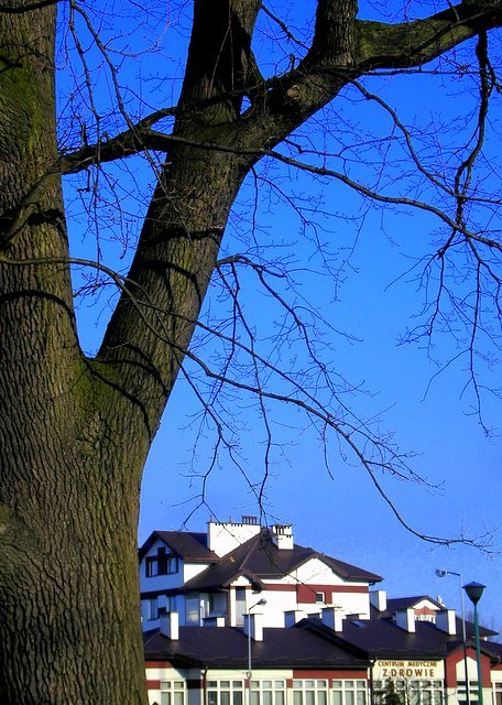 centrum medyczne Zdrowie,Mielec