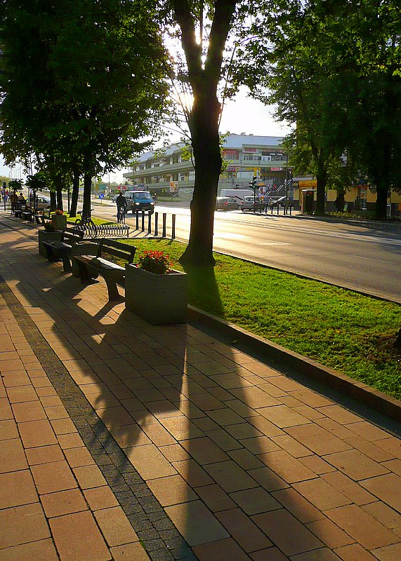 widok na zachód
