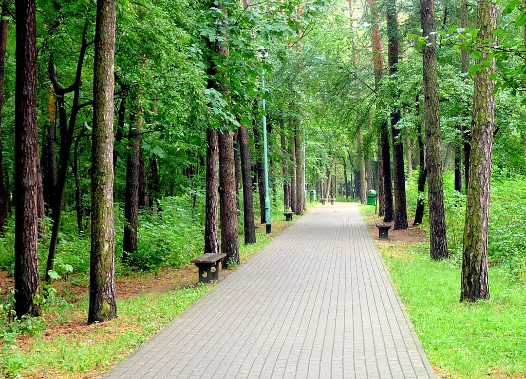 jeszcze zielono,ale jesień zagląda do parku