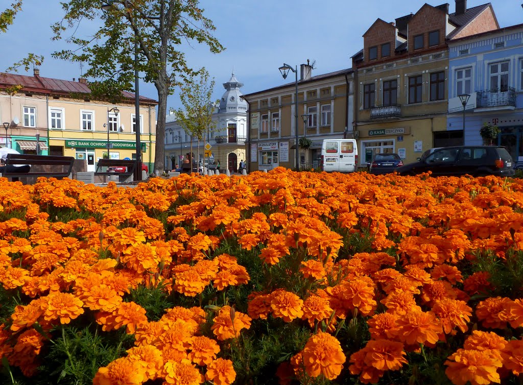 to nie Holandia,to rynek w Mielcu