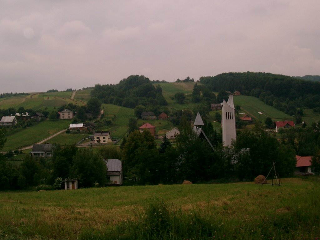 Jawornik Polski
