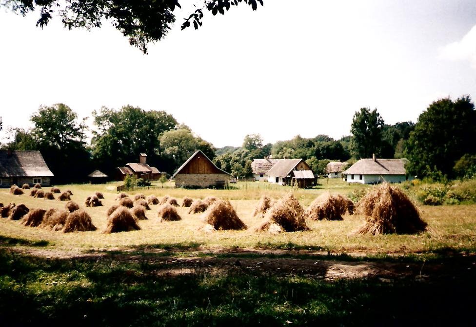 Vilage in "Skansen", Sanok, Poland
