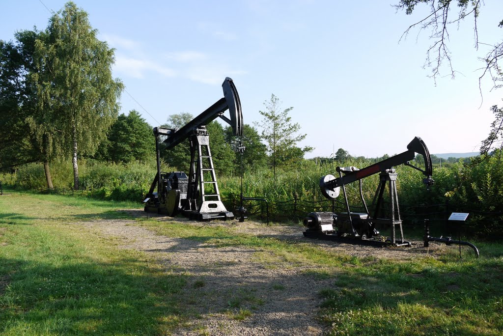 Sanok, Muzeum Budownictwa Ludowego, kiwony pompowe.