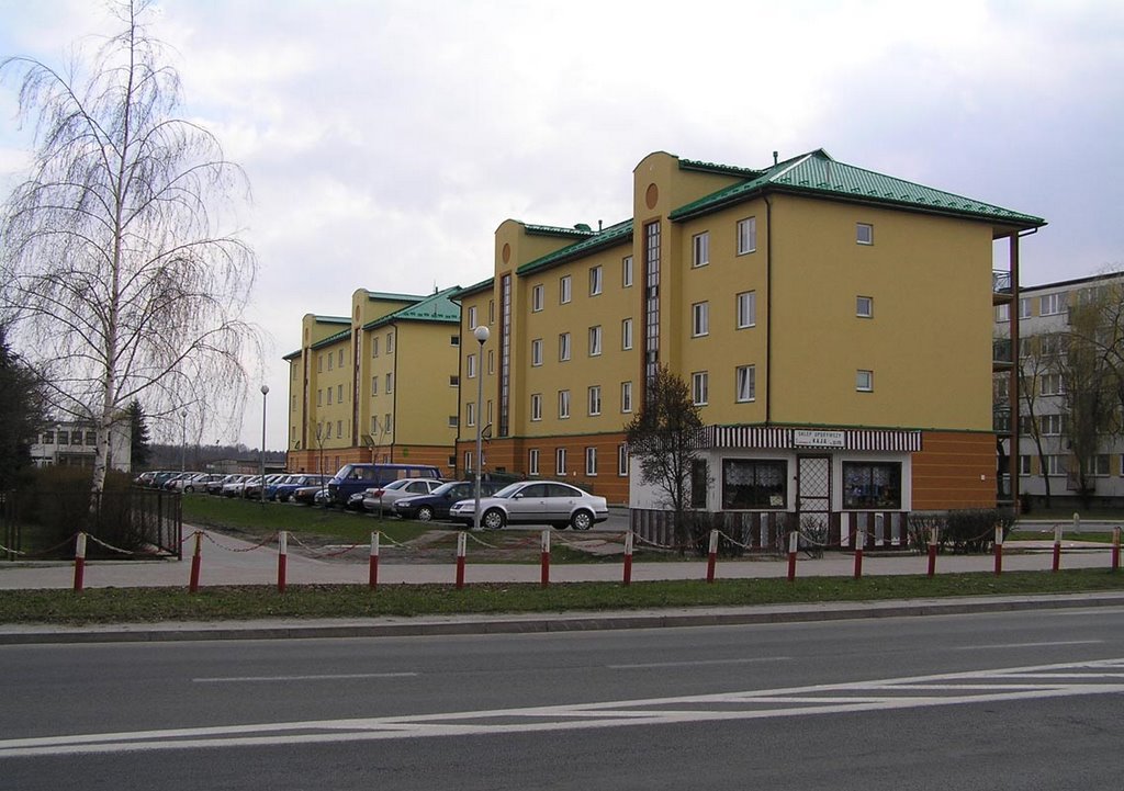 Tarnobrzeg - Ul.Kopernika - 2006
