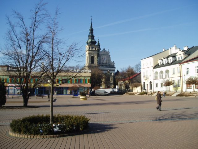 RYNEK ZIMĄ 2008