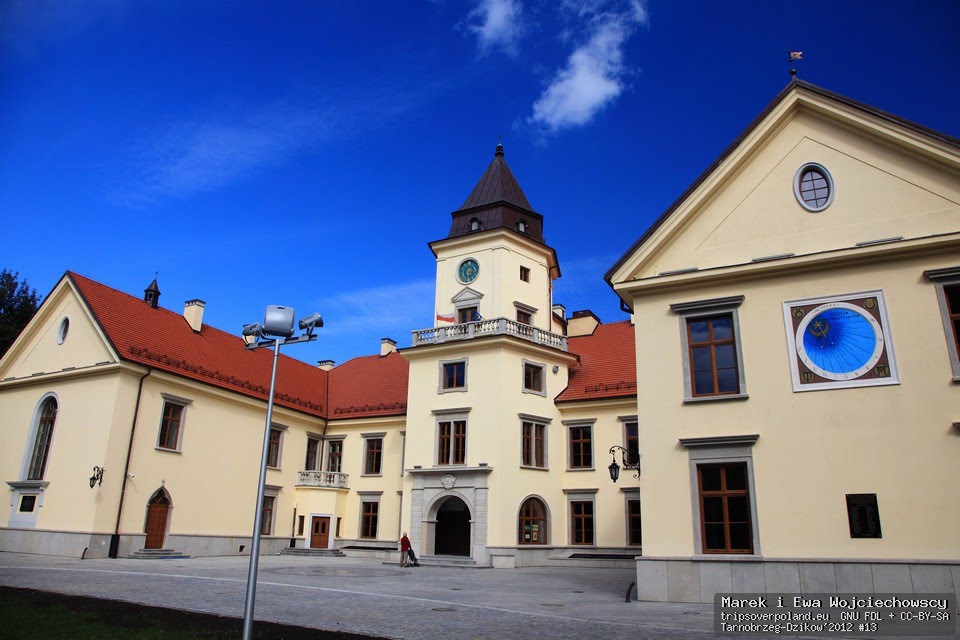 Tarnobrzeg - Dzików