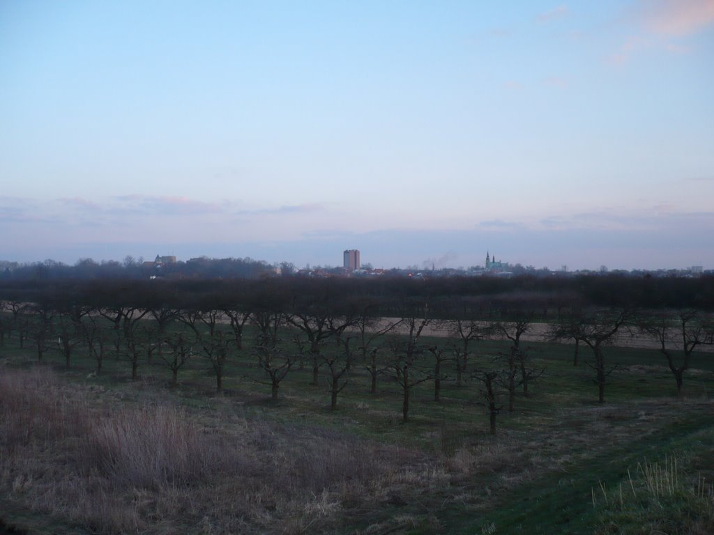 Panorama miasta