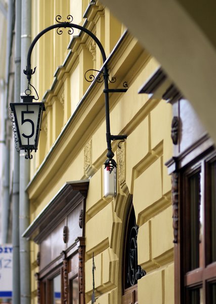 Orły