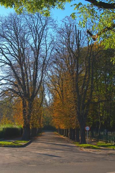 Jarosław - Park miejski